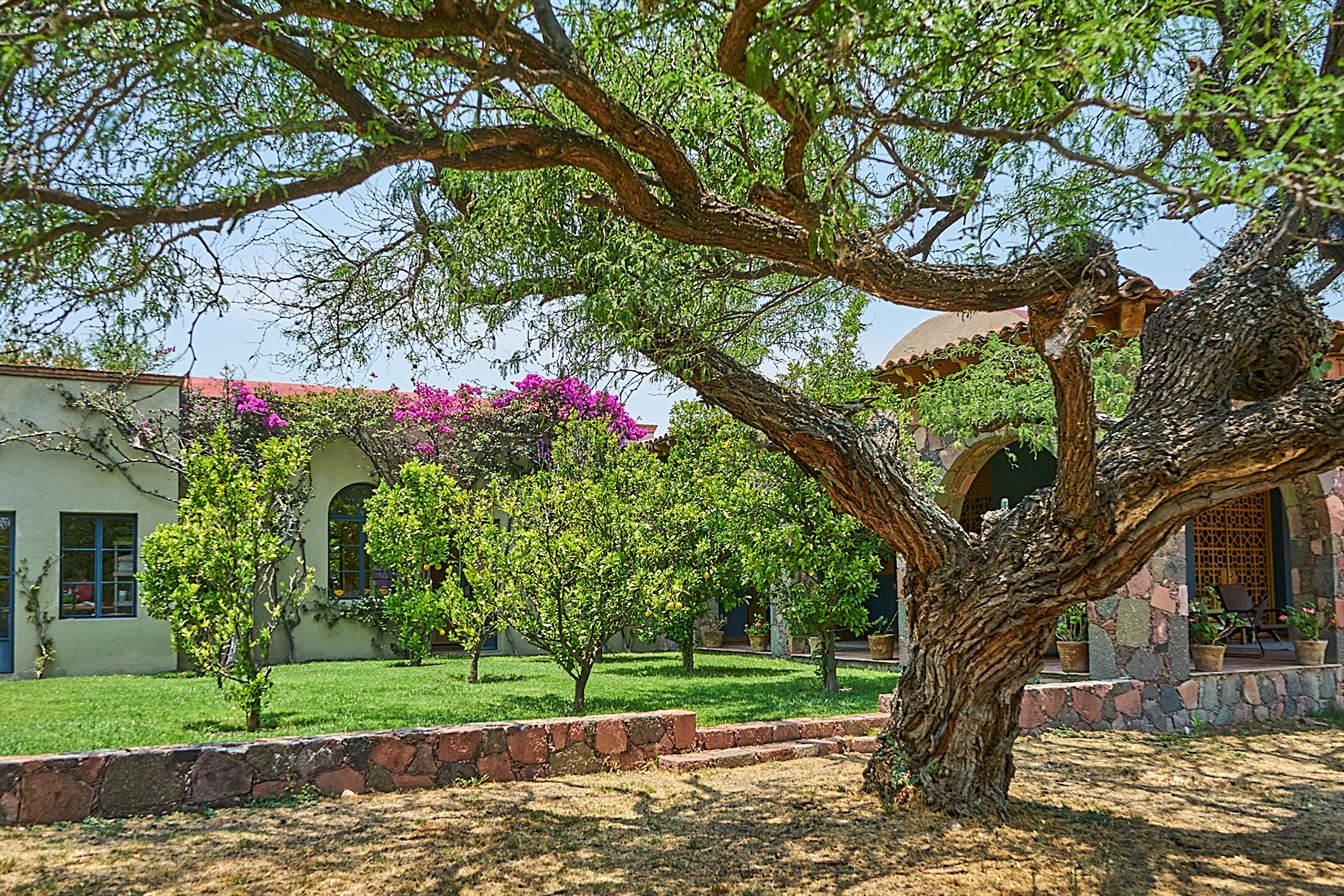 Hacienda Candelaria